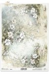 kwiaty flowers Blumen flores 