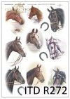 zwierzęta, konie, koń, łby końskie, podkowa, podkowy, R272