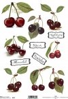 rice-paper-decoupage-fruits-cherries-juice-jams-R0127