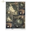 mroczny las, zegary, grzyby, baśniowy krajobraz, ciemny las*dark forest, clocks, mushrooms, fairytale landscape, dark forest*dunkler Wald, Uhren, Pilze, märchenhafte Landschaft, dunkler Wald*bosque oscuro, relojes, setas, paisaje de cuento, bosque oscuro