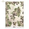 owoce leśne, owoce, dzikie jeżyny, jeżynowe gałązki, ogród, stare napisy, retro, ręczne pismo, stary papier, list, roślinne tło, gooseberry, fruits, wild blackberry, blackberry branches, garden, old inscriptions