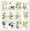 Zestaw do scrapbooking (HS code 48025890) SLS-035 ''Herbarium''---- PRODUKT PRZECENIONY