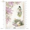 birds, birdies, lilacs, roses, flowers, bouquets, backgrounds, spring, Vögel, Vogel, Vögelchen, Flieder, Rosen, Blumen, Sträuße, Hintergrund, Frühling, pájaros, ave, pajaritos, lilas, rosas, flores, ramos, fondo, primavera