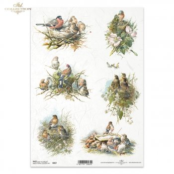 Reispapier für Serviettentechnik und Decoupage R0857