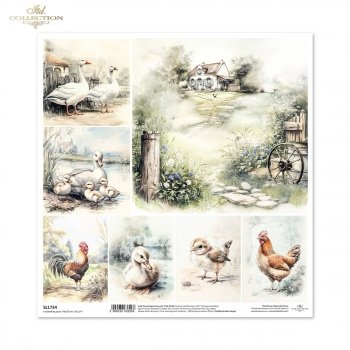 Papier für Scrapbooking SL1734