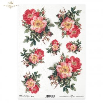 Reispapier für Serviettentechnik und Decoupage R1201