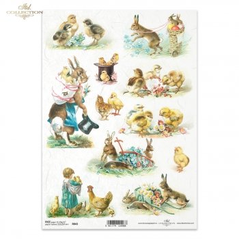 Reispapier für Serviettentechnik und Decoupage R0843