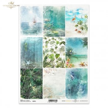 Rice paper R2021