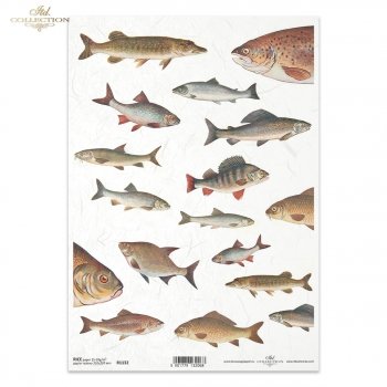 Rice paper R1132