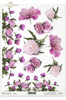 Rice paper R0042