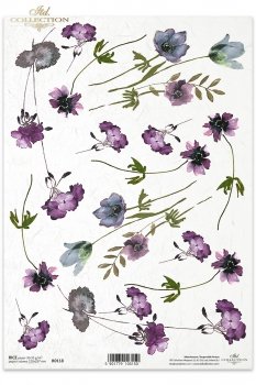 Rice paper R0118