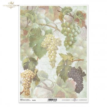 Rice paper R1258