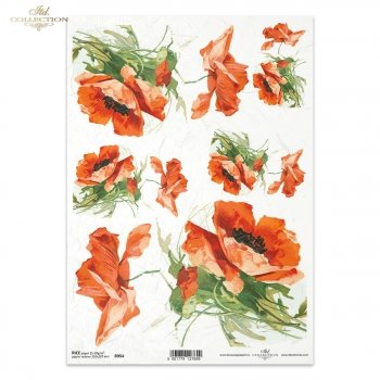 Rice paper R0954