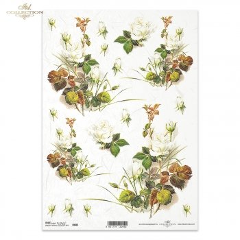 Rice paper R0683