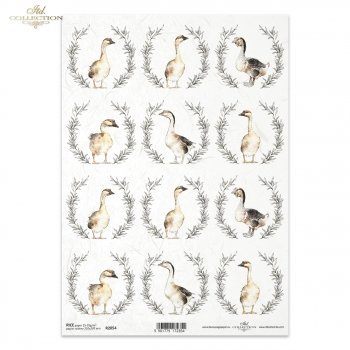 Rice paper R2054