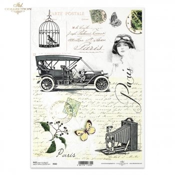 Rice paper R0502