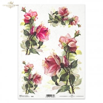 Papel de arroz para decoupage R0392