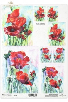 Papel de arroz para decoupage R0124