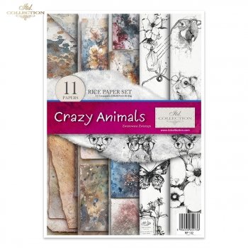 Conjunto Creativo RP102 Crazy Animals