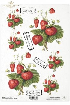 Papier ryżowy (HS code 48021000) R0126