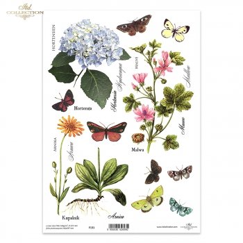 Folia przezroczysta (HS code 39261000) F131