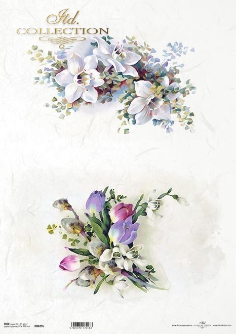 wiosenne kwiaty, tulipan, storczyk*spring flowers, tulip, orchid*Frühlingsblumen, Tulpe, Orchidee*flores de primavera, tulipán, orquídea