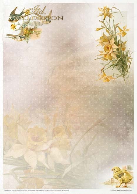 Seria Spring Impressions - wiosenne impresje, żonkile, prymulki, wiosenne kwiaty, wiejskie widoczki, koguty, kury, kurczaki, owce, baranki, stary młyn*daffodils, primulas, spring flowers, rural views, roosters, hens, chickens, sheep, lambs, old millSeria 