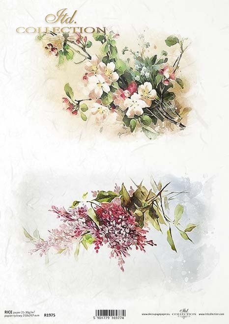 wiosenne kwiaty, kwiaty wiśni, fioletowe kwiaty*spring flowers, cherry blossoms, purple flowers*Frühlingsblumen, Kirschblüten, lila Blumen*flores de primavera, flores de cerezo, flores moradas