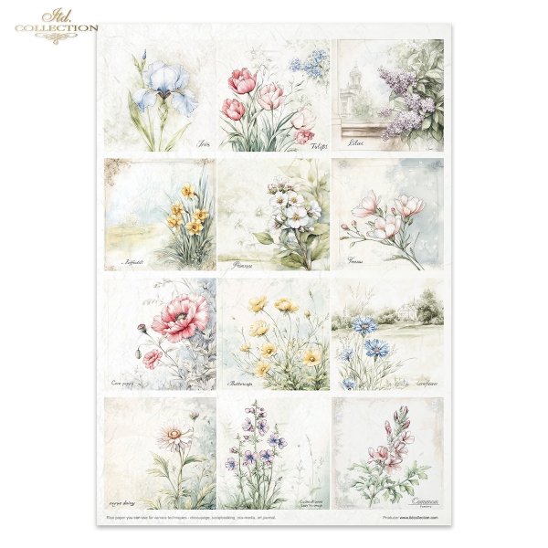 kwiatowy shabby chic, vintage, kwiatowe ilustracje, tło geometryczne, tła kwiatowe, ramki, dekoracyjne ramki*Floral Shabby Chic - vintage, floral illustrations, frames, boards, stripes, floral backgrounds