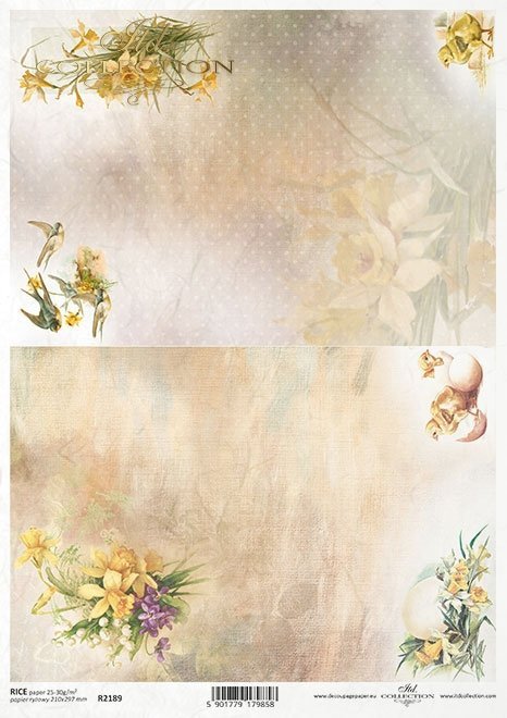 żonkile, wiosenne kwiaty, jaskółki, jajka*daffodils, spring flowers, swallows, eggs*Narzissen, Frühlingsblumen, Schwalben, Eier*narcisos, flores de primavera, golondrinas, huevos