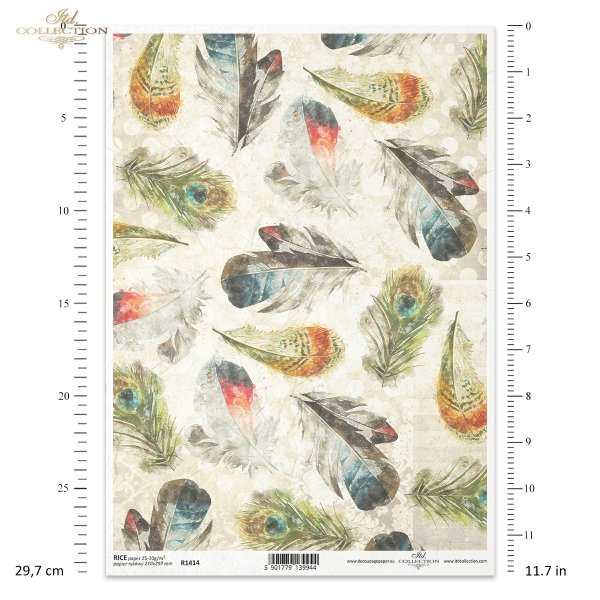 kolorowe, pióro, pióra, piórko, piórka, z piórami, pawie pióra, coloured, feather, with feathers, peacock feathers, bunt, Feder, mit Federn, Pfauenfedern, de color, pluma, con plumas, plumas de pavo real