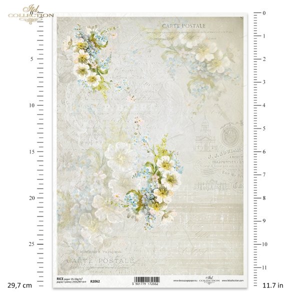 Kwiatowa Poczta, w bieli, biel, białe kwiaty, rumianek, niezapominajki, kwiat, łąka, lato, nuty, tło, retro, stare napisy, Flower Post in white, white, white flowers, chamomile, forget-me-nots, flower, meadow, summer, notes, background