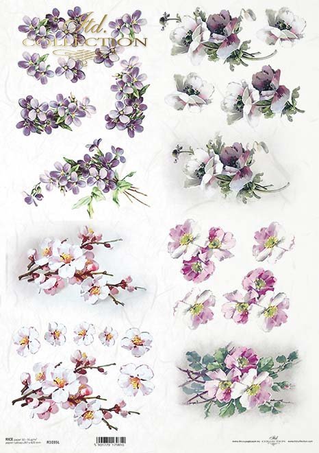 wiosenne kwiaty, kwiaty owocowe, fiołki, mak wschodni*spring flowers, fruit flowers, violets, eastern poppies*Frühlingsblumen, Obstblumen, Veilchen, Klatschmohn*flores de primavera, flores frutales, violetas, amapolas orientales