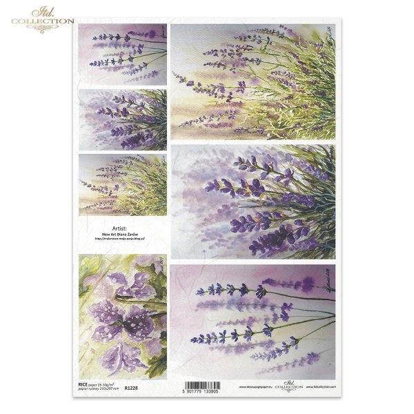 lawenda, kwiaty lawendy, kwiatki, lawendowe, ogród, lawendowe pole, malarstwo, grafika, Diana Żarów, artystka współczesna, artysta współczesny, lavender flowers, garden, lavender field, painting, Diana Zarow
