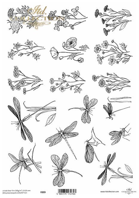 kwiaty, ważki, rośliny*flowers, dragonflies, plants