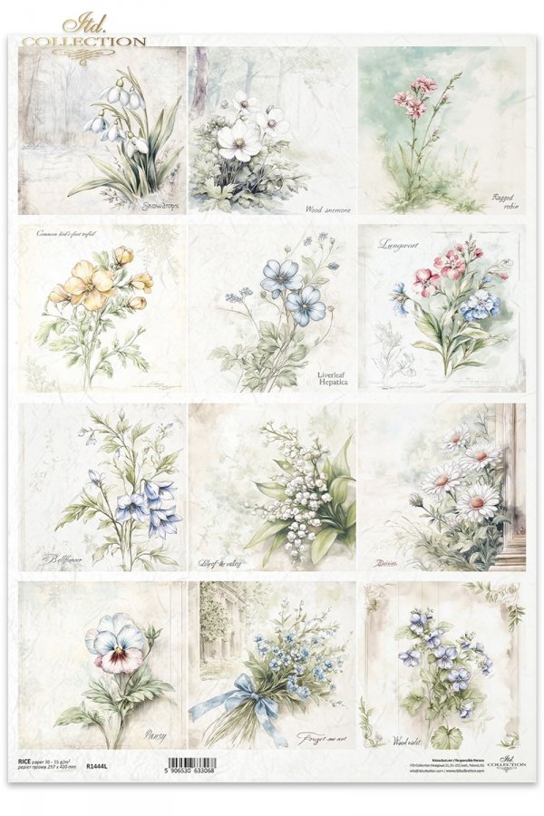 Przebiśnieg, zawilec, firletka Poszarpana, Komonica zwyczajna, Przylaszczka, Miodunka, dzwonek, konwalia, stokrotka, bratek, niezapominajka, fiołki*snowdrops, anemones, marsh comfrey, bird's-foot trefoil, hellebore, meadow foxtail, bellflower, lily of th
