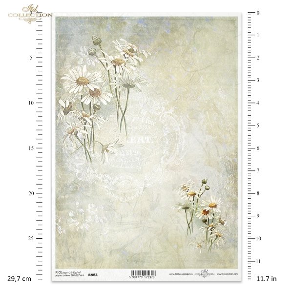Kwiatowa Poczta, w bieli, rumianek, rumianki, zioła, łąka, kwiaty polne, lato, kolaż, napisy, retro tło, Flower Post, in white, chamomile, herbs, meadow, field flowers, summer, collage, lettering, retro background, Blumenpost, in weiß, Kamille