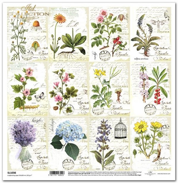Seria Zielnik - Herbarium, zioła, rośliny, kwiaty z napisami, pismo, listy*Kräuter, Pflanzen, Blumen mit Inschriften, Schrift, Buchstaben*hierbas, plantas, flores con inscripciones, escritos, cartas
