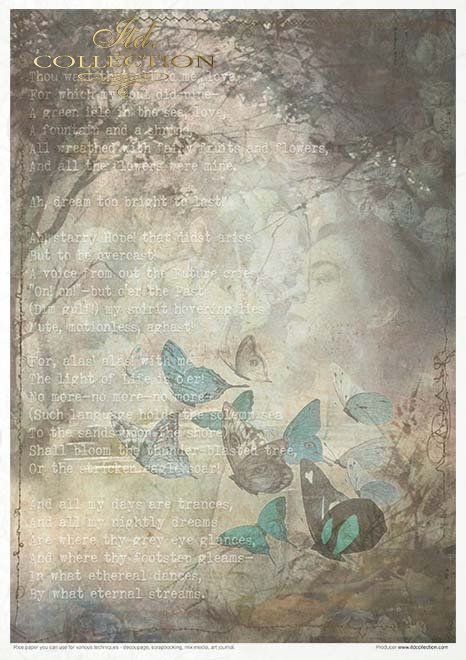 Zestaw kreatywny na papierze ryżowym - Stary pamiętnik - Ulotne chwile*Creative set on rice paper - Old Diary - Ephemeral Moments