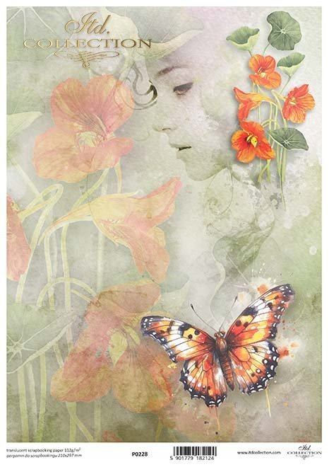 akwarelowe tła, kwiaty, motyle, owady, zakochane pary, nasturcja*Watercolour backgrounds, flowers, butterflies, insects, couples in love, nasturtium*Aquarell-Hintergründe, Blumen, Schmetterlinge, Insekten, verliebte Paare, Kapuzinerkresse*Fondos de acuare
