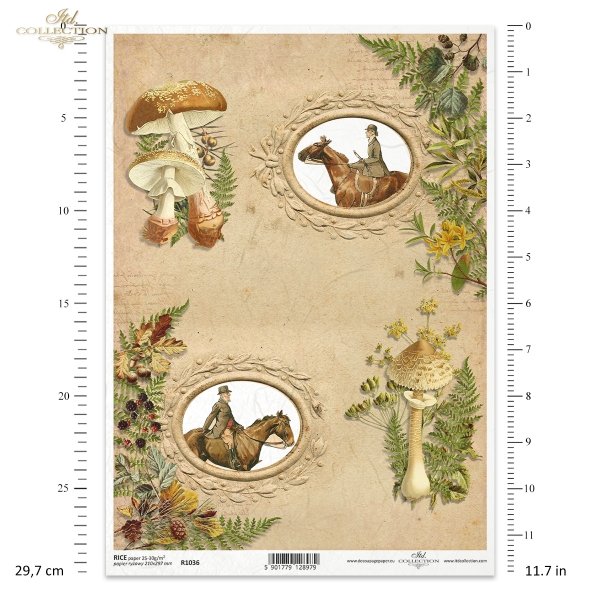 mushroom picking, horse, hunt, riders in hunting costumes, hunting, Rahmen, Jagd, Pilze, Pferd, Reiter in Jagdkostümen, Jagd, Jagen, Pilze sammeln, marco, marco, caza, setas, caballos, jinetes con trajes de caza, caza, recogida de setas