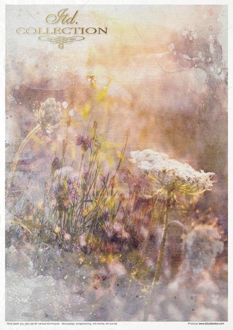 Zestaw kreatywny na papierze ryżowym - Letnia łąka*Creative set on rice paper - Summer meadow