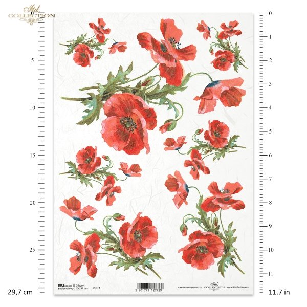 maki, mak, maków, makowe, łąka, ogród, polne kwiaty, polne maki, kwiat, kwiaty, kwiatek, kwiatki, lato, R957, poppy, flower, meadow, garden, summer, Mohn, Mohnblume, Blume, Wiese, Garten, Sommer, amapola, flor, prado, jardín, verano