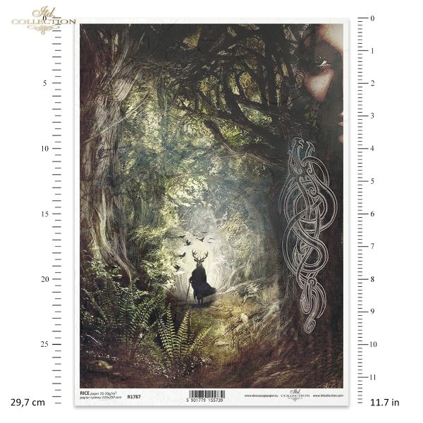 Mini kolekcja Nieodkryty magiczny świat, las, puszcza, knieja, tajemnica, paproć, twarz, druidzi, kapłan celtycki, motywy celtyckie, Cetowie, An Undiscovered Magical World, forest, wilderness, mystery, fern, face, druids, celtic priest