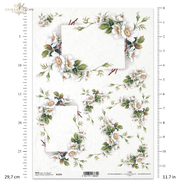 flowers, wild rose flower, garden, frames, buds, leaf, leaves, bouquets, Blumen, Hagebuttenblume, Wildrose Blume, Wildrose, Garten, Rahmen, flores, flor de rosa silvestre, rosa silvestre, hojas, jardín, marcos