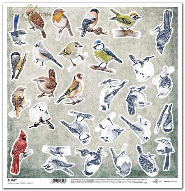 zimowe ptaki*winter birds*Wintervögel*aves de invierno