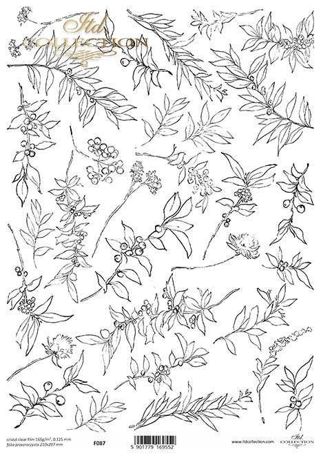 roślinne tło, rośliny*vegetal background, plants*pflanzlicher Hintergrund, Pflanzen*fondo vegetal, plantas