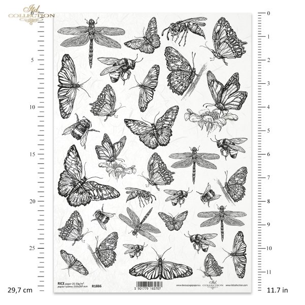 owady, motyl, pszczoła, pszczoły, osa, osy, trzmiel, ważka, ważki, letnia łąka, Summer meadow, insect, butterfly, bee, wasp, bumblebee, dragonfly, dragonflies, Insekt, Schmetterling, Biene, Wespe, Hummel, Libelle, Sommerwiese