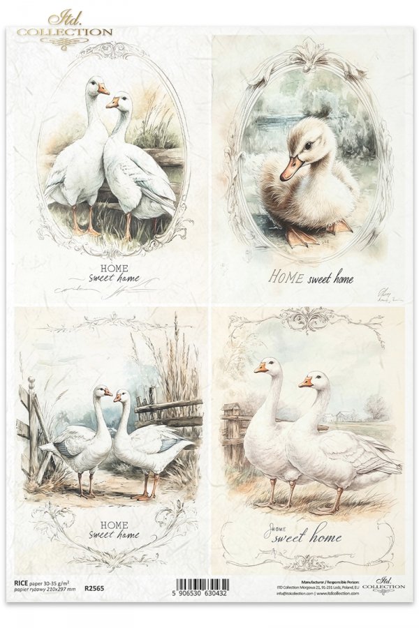 gęsie, gąski, wiejskie zwierzęta, wiosenne klimaty, rustykalny styl*geese, countryside animals, spring breeding, rustic style*Gänse, Tiere auf dem Lande, Frühjahrsaufzucht, rustikaler Stil