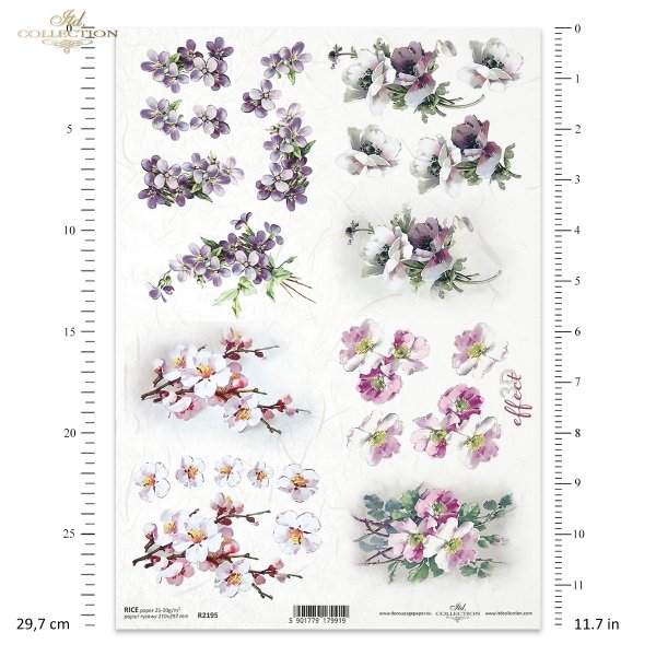 wiosna, wiosenne kwiaty, ogród, kwiaty owocowe, fiołek, fiołki, mak wschodni, maki, kwiaty 3D, 3D efekt, spring, spring flowers, garden, fruit flowers, violet, violets, eastern poppy, poppies, 3D flowers, 3D effect, Frühling, Frühlingsblumen, Garten